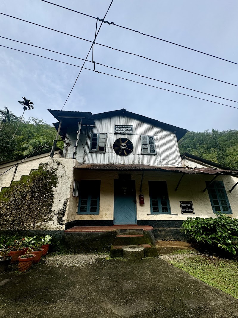 Braemore Marigold Estate,Braemore