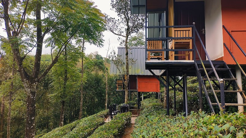 The Adventure Paradise Vagamon ‹TAP›