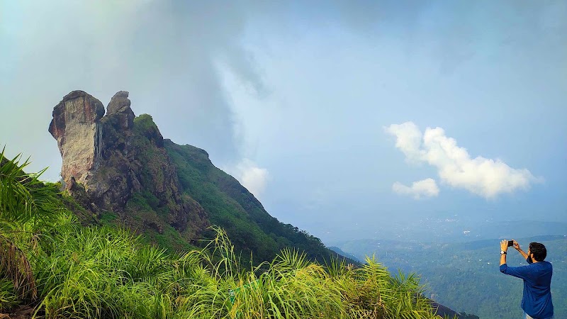 Wagamon muttakun hill station