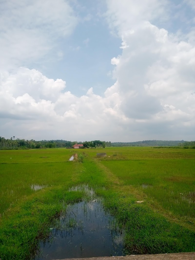Kottavayal view point