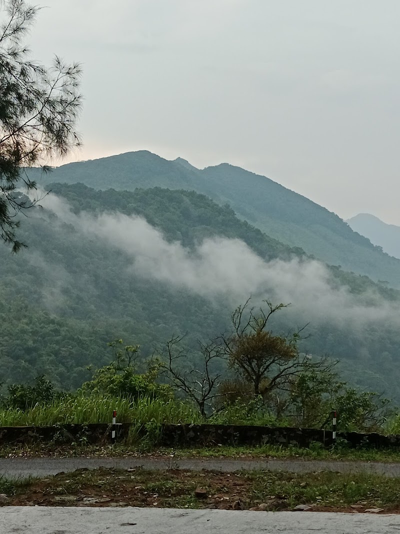 Ponmudi Hill Station, Vithura