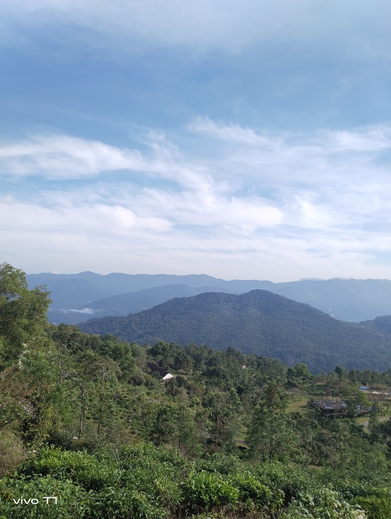 Ponmudi Hill Top, Vithura
