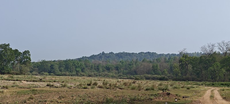 Bird Watching in Rajaji National Park