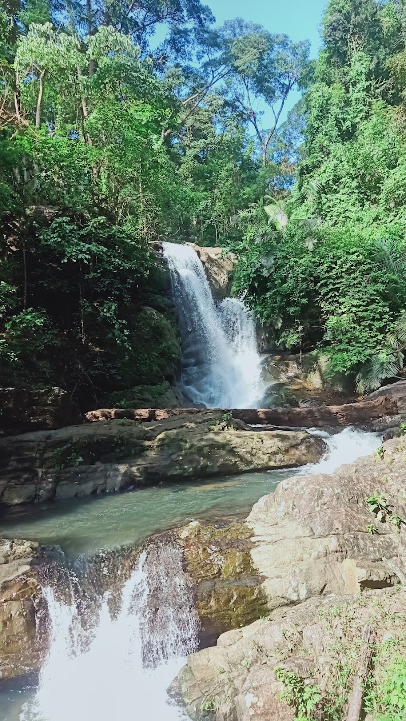 Braemore Waterfalls, Braemore