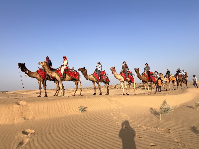 Trotters Tours & Travels Camel Safari Jaisalmer