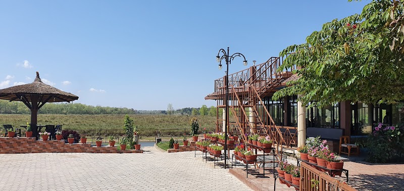 Jungle Wildlife Camp