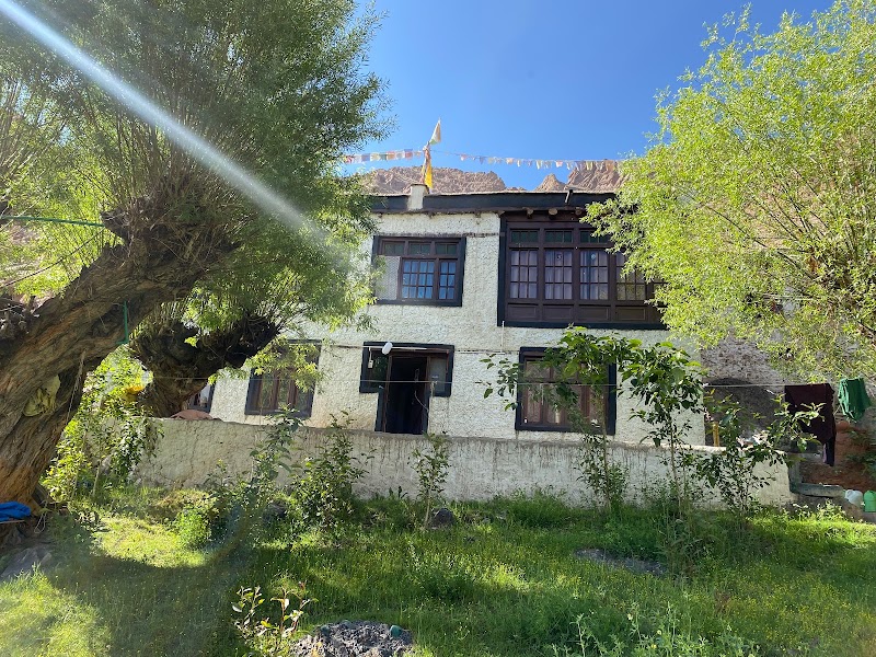 Hemis Chunpa Lush green Homestay