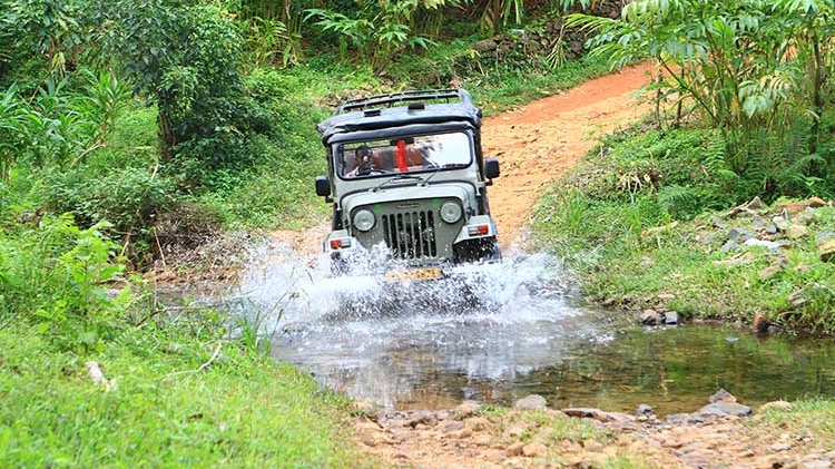 Thekkady Jeep Safari | Spice Plantation Visiting & Elephant Ride & Taxi Service Tent Camping Munnar & Thekkadi