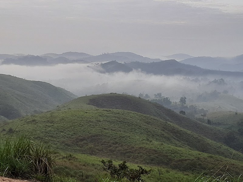 Kaithapathal View Point